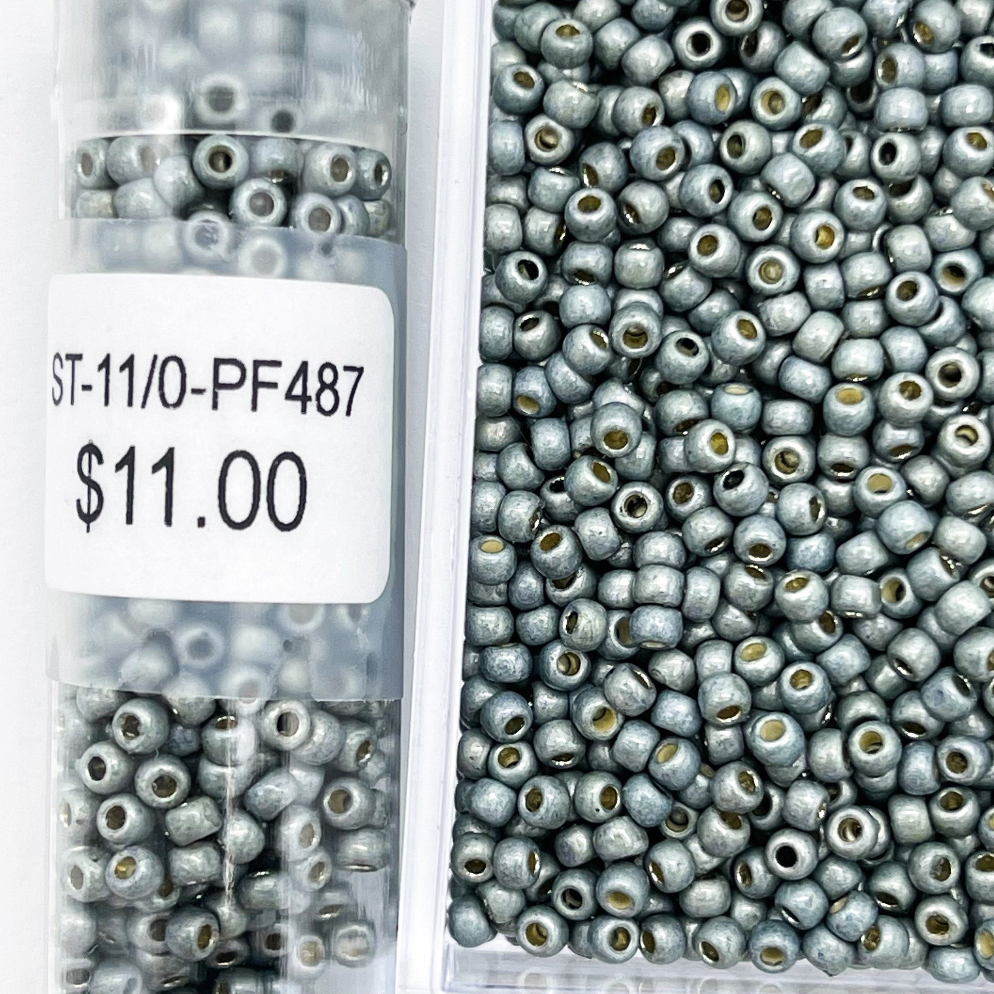 その他 A seed Amazon.co.jp: Green Field Project A407 [Specialized Seeds